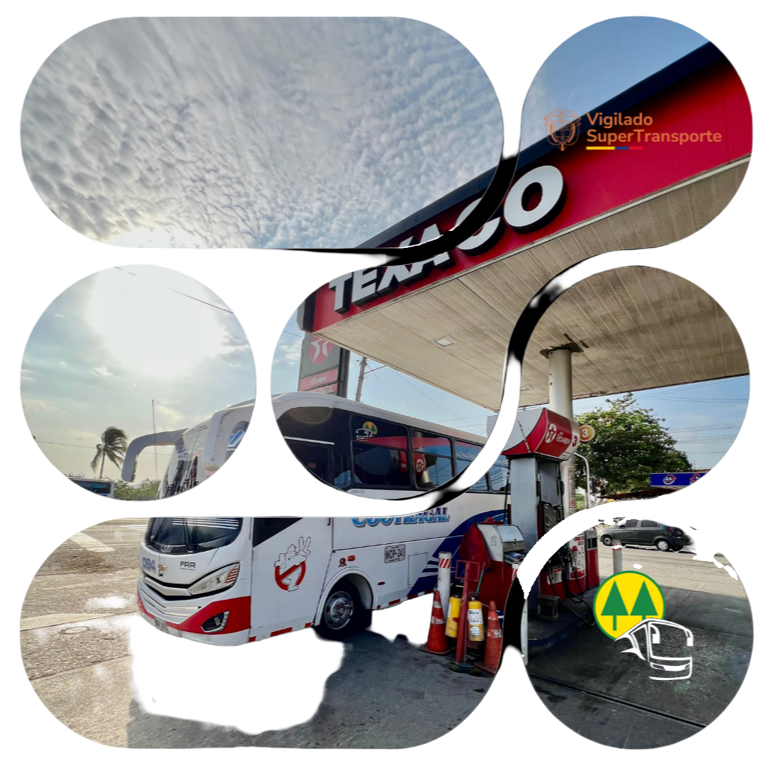 Bus Cootragal